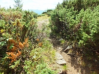 09.08.2012 12:45:38 - Munții Călimani - Rumänien 2012 - Rumänien-Fotos