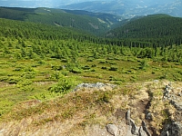 09.08.2012 13:20:22 - Munții Călimani - Rumänien 2012 - Rumänien-Fotos