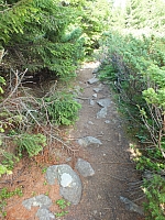 09.08.2012 13:57:24 - Munții Călimani - Rumänien 2012 - Rumänien-Fotos