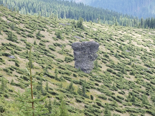 09.08.2012 12:35:28 - Munții Călimani - Rumänien 2012 - Rumänien-Fotos