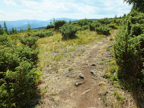 09.08.2012 12:45:44 - Munții Călimani - Rumänien 2012 - Rumänien-Fotos