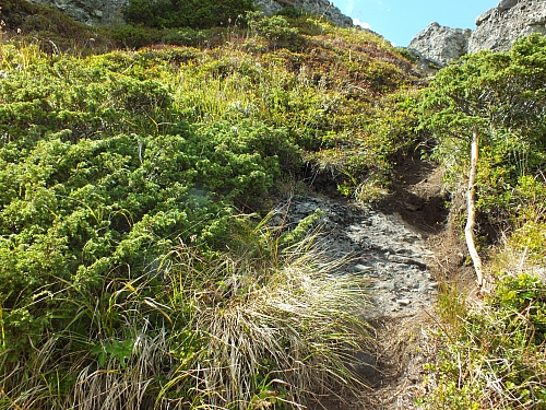 09.08.2012 13:38:27 - Munții Călimani - Rumänien 2012 - Rumänien-Fotos