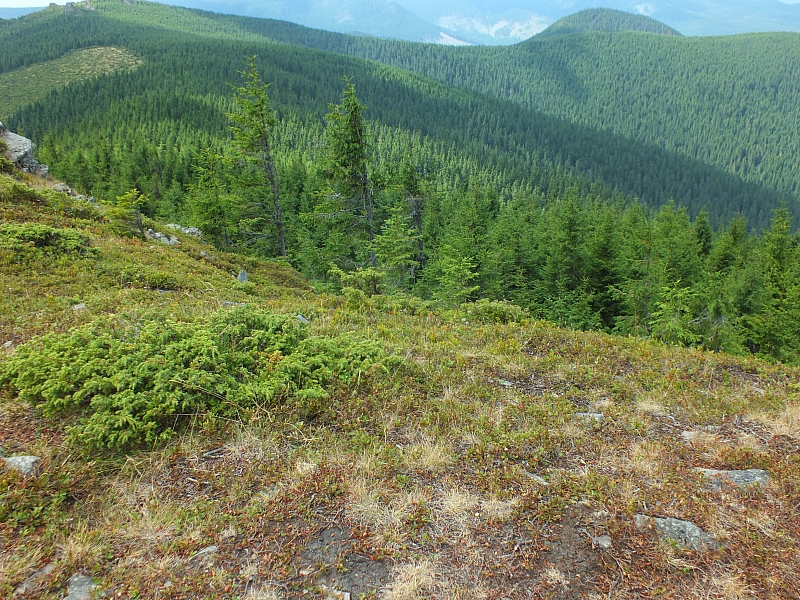 09.08.2012 12:28:18 - Munții Călimani - Rumänien 2012 - Rumänien-Fotos