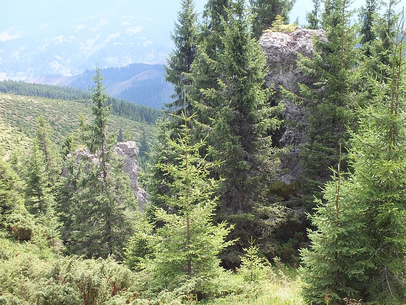 09.08.2012 12:39:04 - Munții Călimani - Rumänien 2012 - Rumänien-Fotos