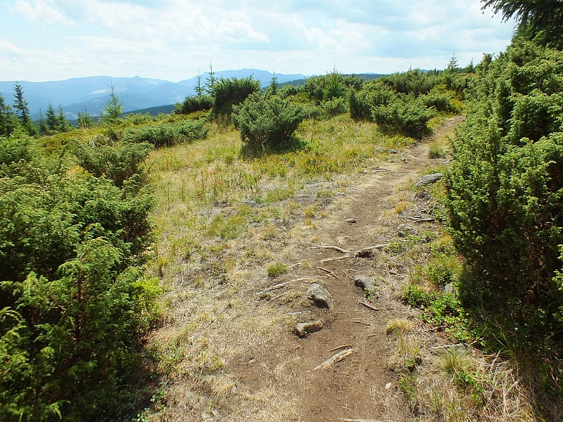 09.08.2012 12:45:44 - Munții Călimani - Rumänien 2012 - Rumänien-Fotos