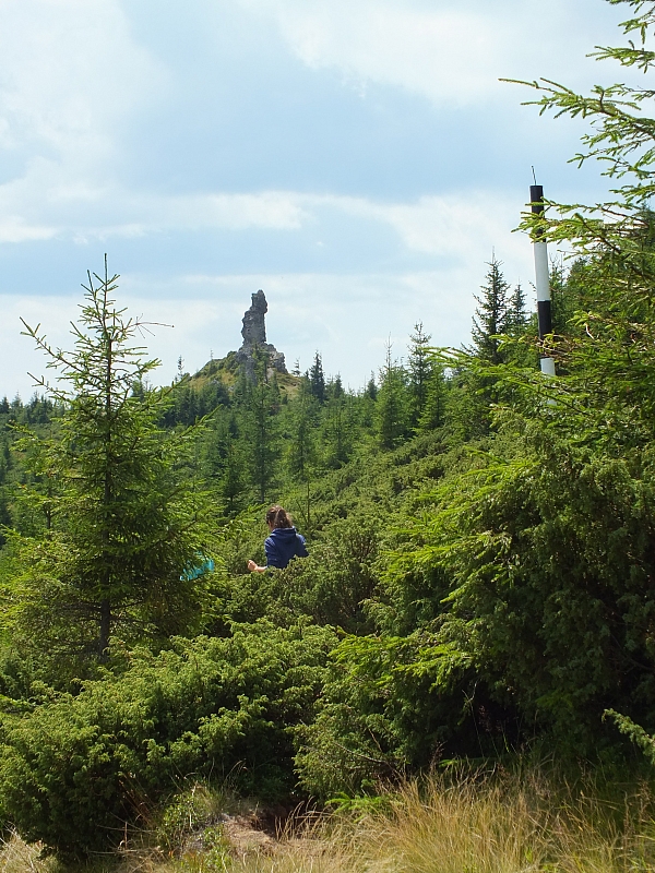 09.08.2012 12:58:10 - Munții Călimani - Rumänien 2012 - Rumänien-Fotos