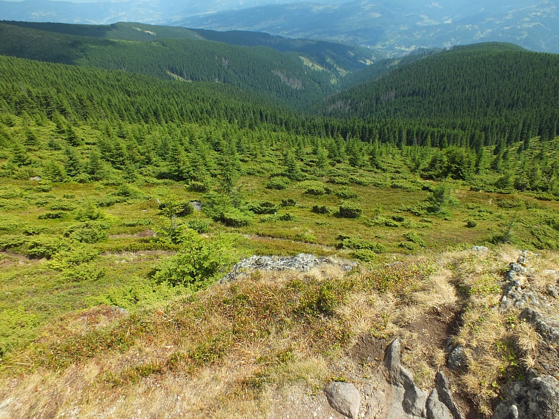 09.08.2012 13:20:22 - Munții Călimani - Rumänien 2012 - Rumänien-Fotos