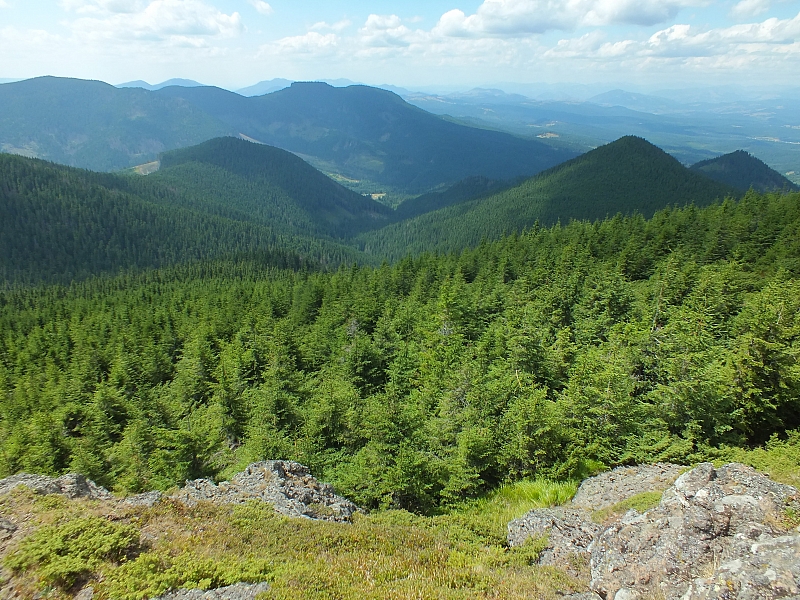 09.08.2012 13:20:37 - Munții Călimani - Rumänien 2012 - Rumänien-Fotos