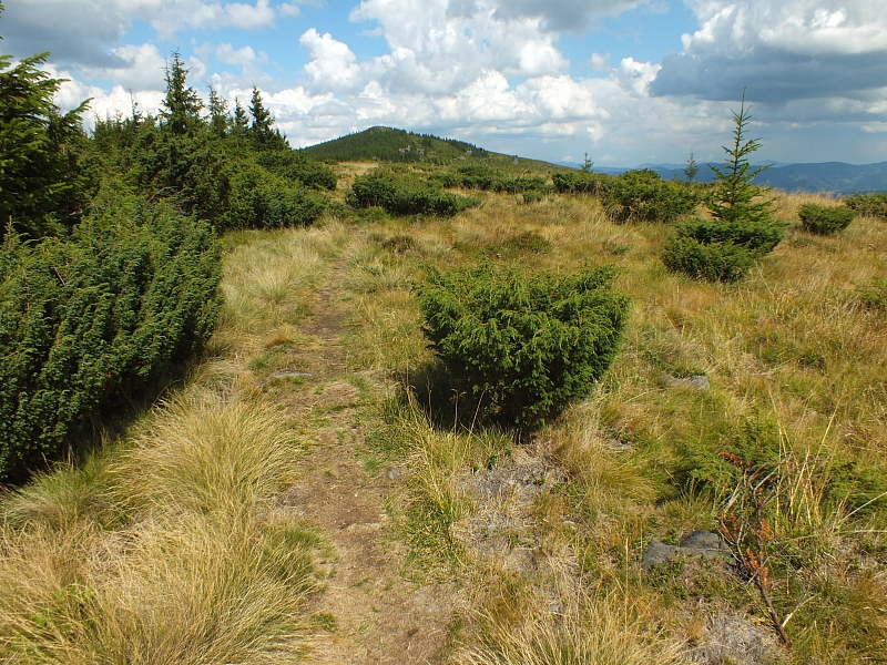 09.08.2012 13:58:44 - Munții Călimani - Rumänien 2012 - Rumänien-Fotos