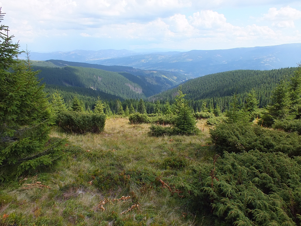 09.08.2012 13:01:34 - Munții Călimani - Rumänien 2012 - Rumänien-Fotos