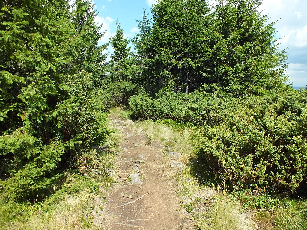 09.08.2012 13:58:10 - Munții Călimani - Rumänien 2012 - Rumänien-Fotos