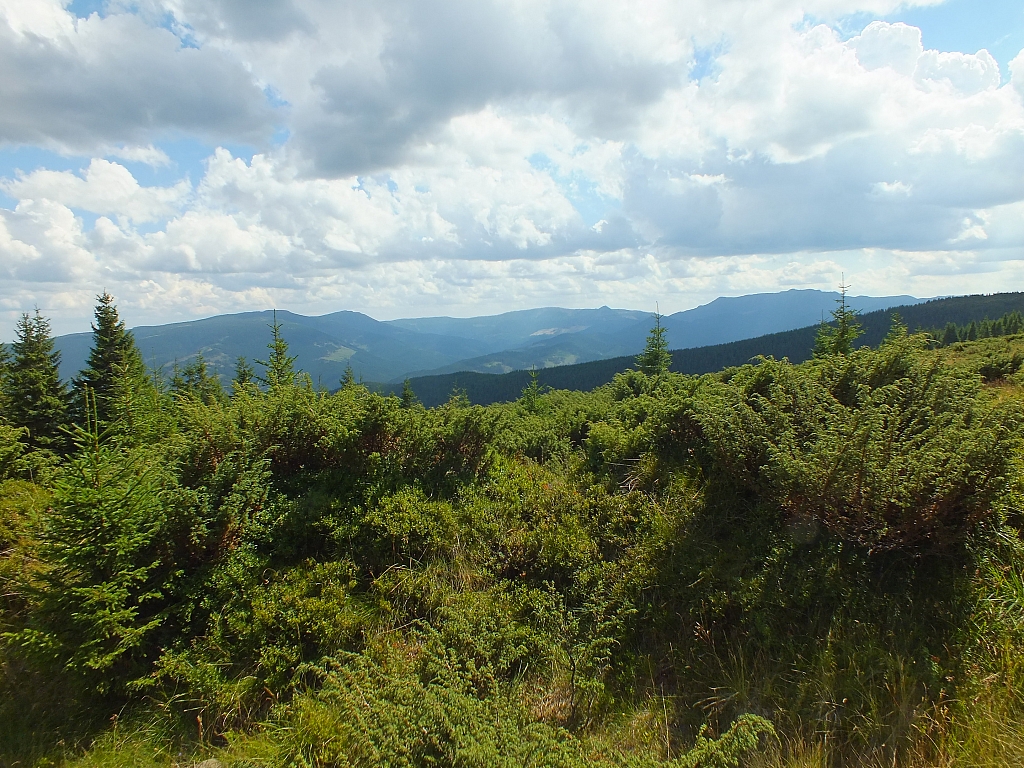 09.08.2012 14:02:12 - Munții Călimani - Rumänien 2012 - Rumänien-Fotos