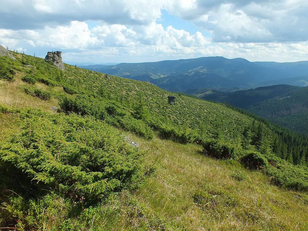 09.08.2012 14:10:57 - Munții Călimani - Rumänien 2012 - Rumänien-Fotos