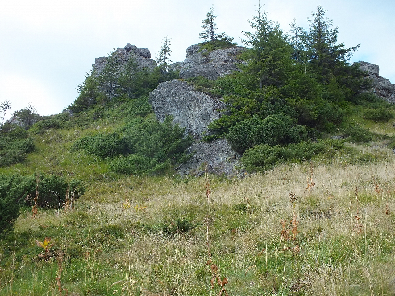 09.08.2012 13:01:41 - Munții Călimani - Rumänien 2012 - Rumänien-Fotos