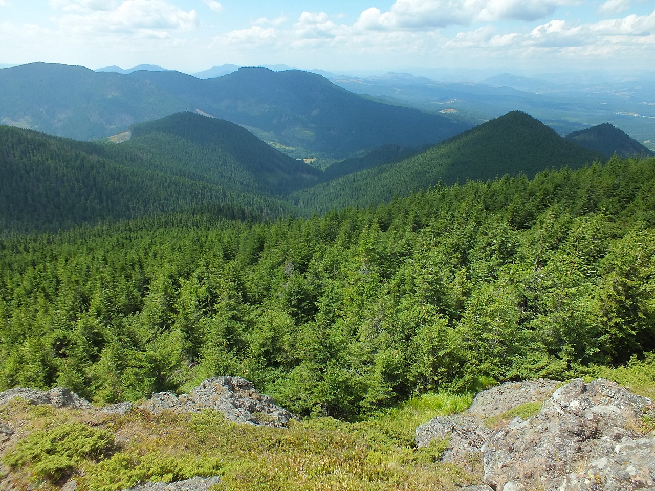 09.08.2012 13:20:37 - Munții Călimani - Rumänien 2012 - Rumänien-Fotos