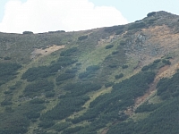 11.08.2012 13:30:12 - Munții Călimani - Rumänien 2012 - Rumänien-Fotos