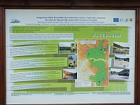 11.08.2012 14:15:12 - Munții Călimani - Rumänien 2012 - Rumänien-Fotos