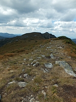 11.08.2012 15:30:19 - Munții Călimani - Rumänien 2012 - Rumänien-Fotos