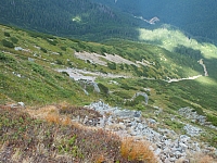 11.08.2012 15:31:59 - Munții Călimani - Rumänien 2012 - Rumänien-Fotos