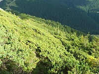 11.08.2012 17:26:23 - Munții Călimani - Rumänien 2012 - Rumänien-Fotos