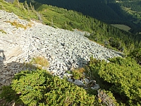 11.08.2012 17:27:59 - Munții Călimani - Rumänien 2012 - Rumänien-Fotos