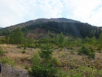 11.08.2012 18:44:41 - Munții Călimani - Rumänien 2012 - Rumänien-Fotos