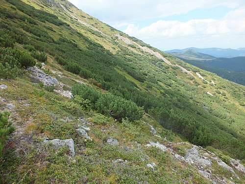 11.08.2012 14:55:41 - Munții Călimani - Rumänien 2012 - Rumänien-Fotos