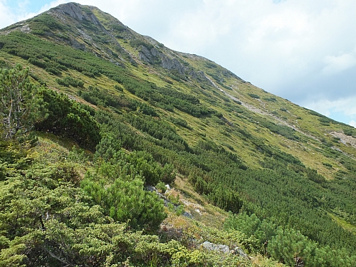 11.08.2012 14:58:20 - Munții Călimani - Rumänien 2012 - Rumänien-Fotos