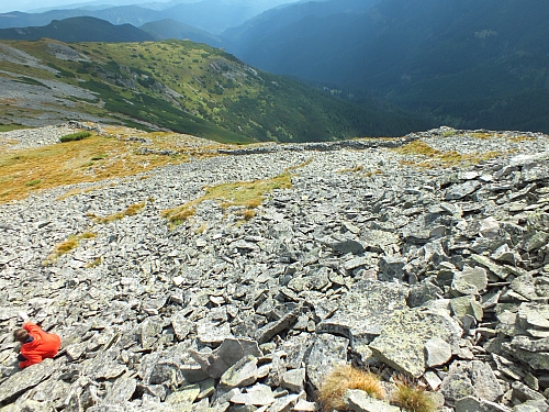 11.08.2012 16:15:35 - Munții Călimani - Rumänien 2012 - Rumänien-Fotos