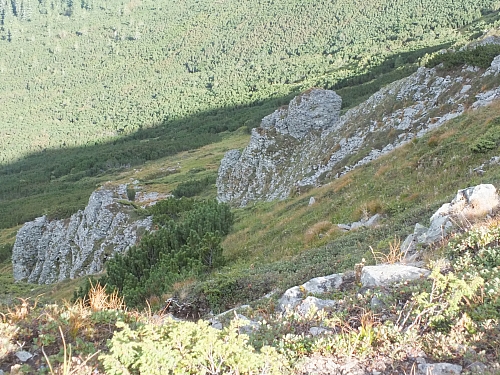 11.08.2012 16:57:03 - Munții Călimani - Rumänien 2012 - Rumänien-Fotos