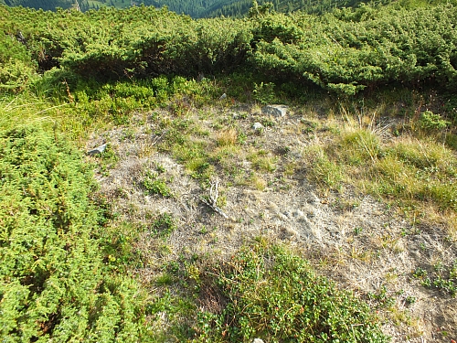 11.08.2012 17:24:23 - Munții Călimani - Rumänien 2012 - Rumänien-Fotos