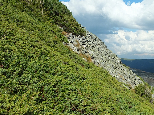 11.08.2012 17:27:07 - Munții Călimani - Rumänien 2012 - Rumänien-Fotos