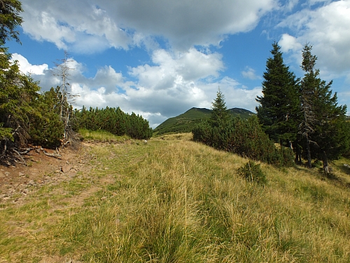 11.08.2012 17:58:10 - Munții Călimani - Rumänien 2012 - Rumänien-Fotos