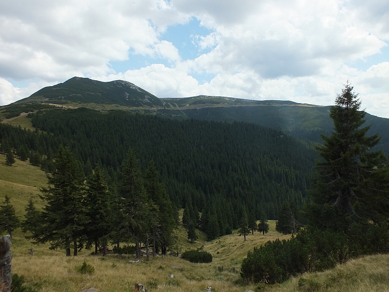 11.08.2012 14:26:07 - Munții Călimani - Rumänien 2012 - Rumänien-Fotos