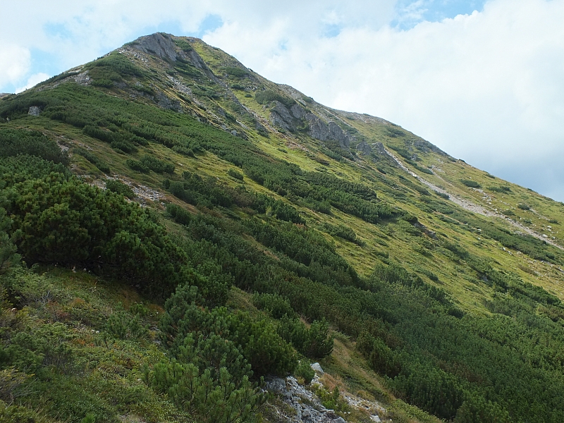 11.08.2012 14:55:28 - Munții Călimani - Rumänien 2012 - Rumänien-Fotos