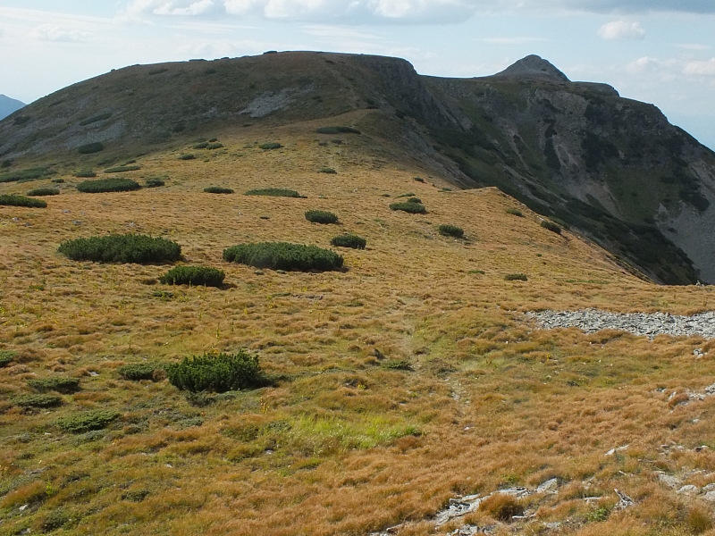 11.08.2012 16:55:49 - Munții Călimani - Rumänien 2012 - Rumänien-Fotos