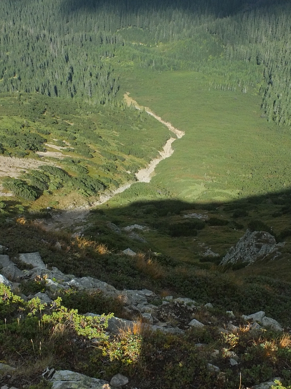 11.08.2012 16:57:20 - Munții Călimani - Rumänien 2012 - Rumänien-Fotos