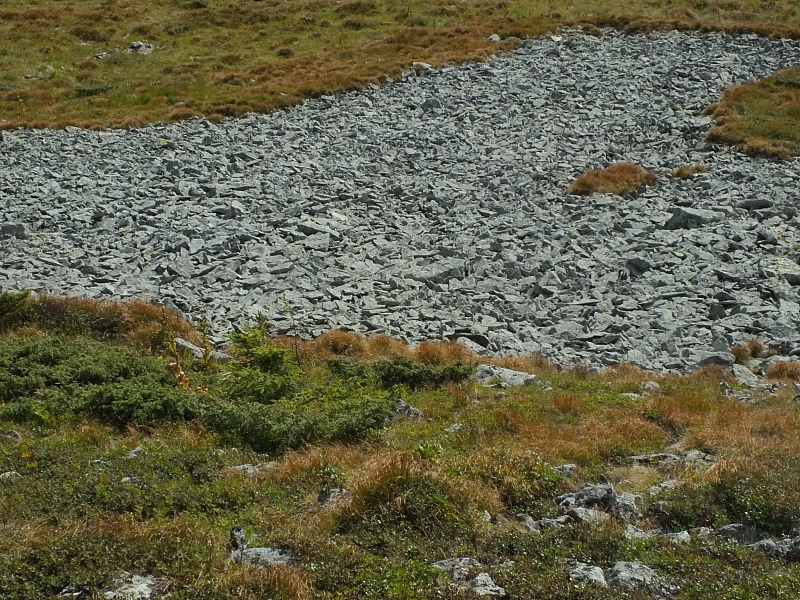 11.08.2012 16:57:55 - Munții Călimani - Rumänien 2012 - Rumänien-Fotos