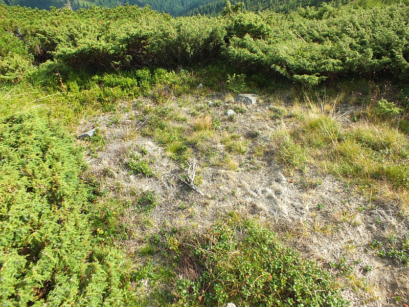 11.08.2012 17:24:23 - Munții Călimani - Rumänien 2012 - Rumänien-Fotos