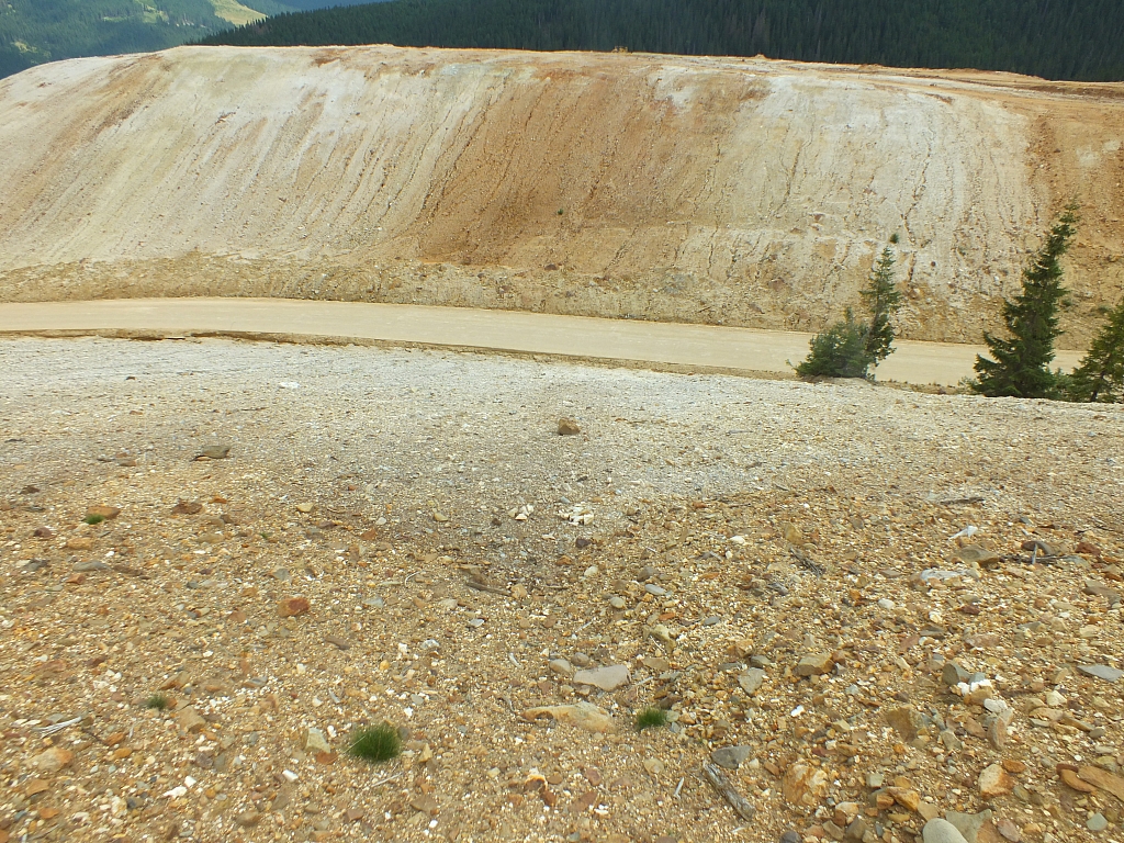 11.08.2012 13:26:35 - Munții Călimani - Rumänien 2012 - Rumänien-Fotos