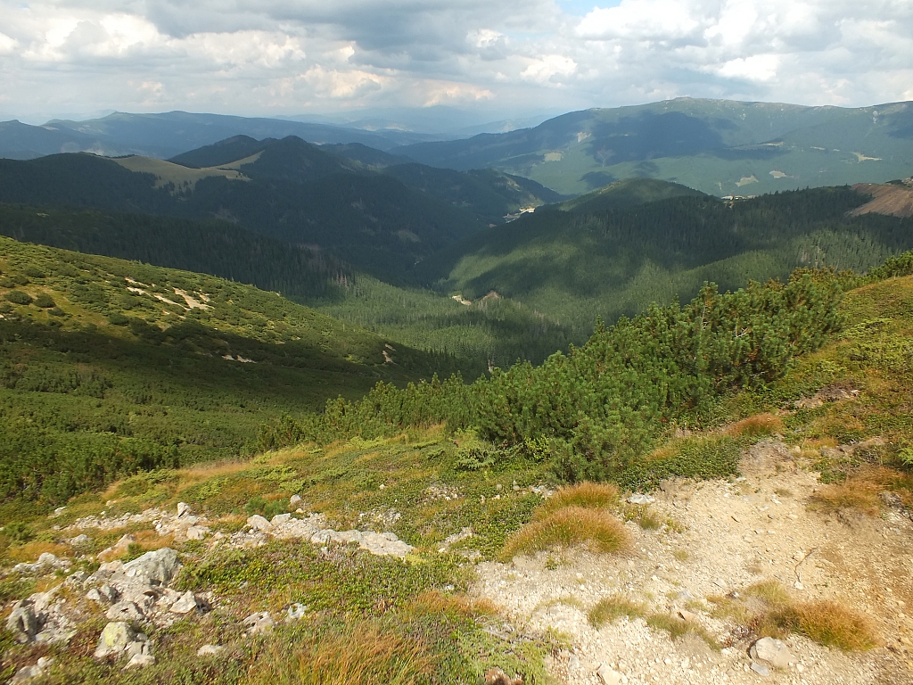 11.08.2012 14:56:59 - Munții Călimani - Rumänien 2012 - Rumänien-Fotos