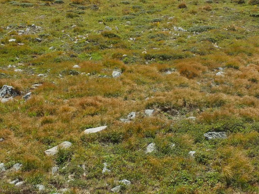 11.08.2012 16:55:45 - Munții Călimani - Rumänien 2012 - Rumänien-Fotos