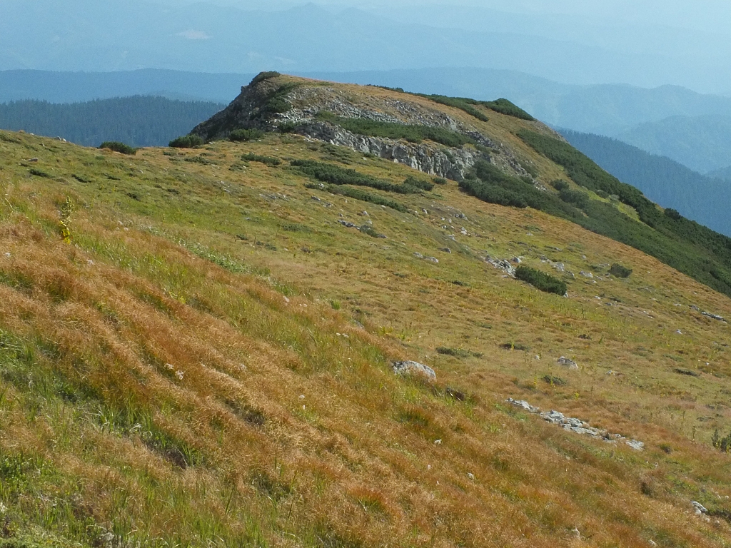 11.08.2012 16:56:07 - Munții Călimani - Rumänien 2012 - Rumänien-Fotos