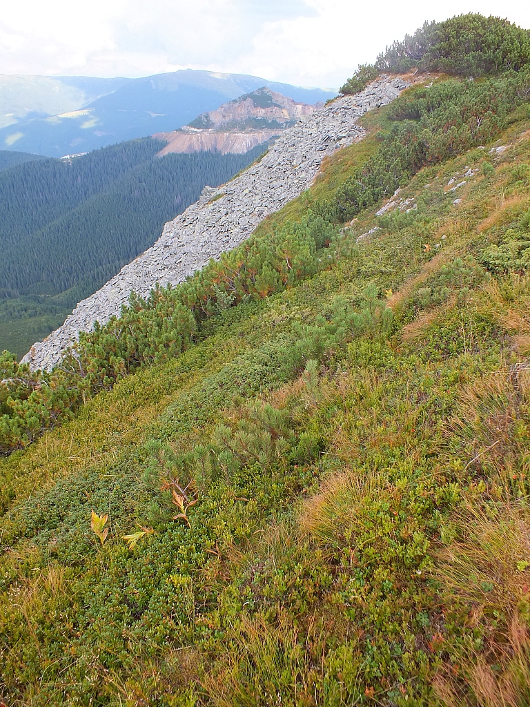 11.08.2012 17:22:25 - Munții Călimani - Rumänien 2012 - Rumänien-Fotos