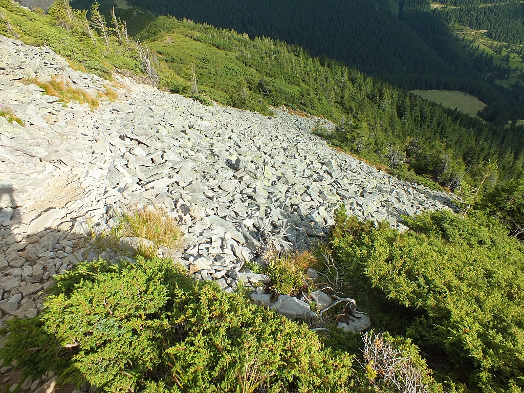 11.08.2012 17:27:59 - Munții Călimani - Rumänien 2012 - Rumänien-Fotos