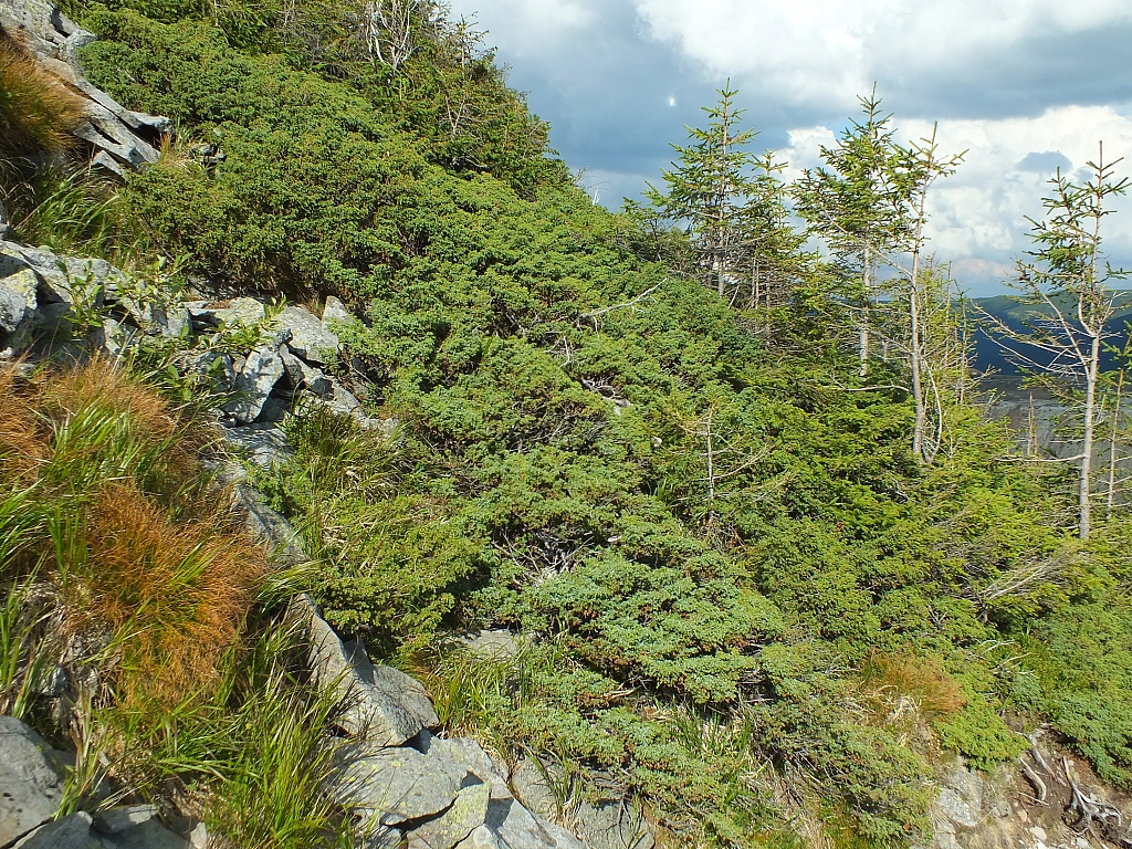 11.08.2012 17:28:47 - Munții Călimani - Rumänien 2012 - Rumänien-Fotos