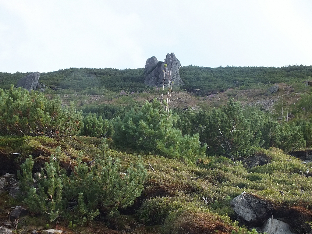 11.08.2012 18:33:30 - Munții Călimani - Rumänien 2012 - Rumänien-Fotos