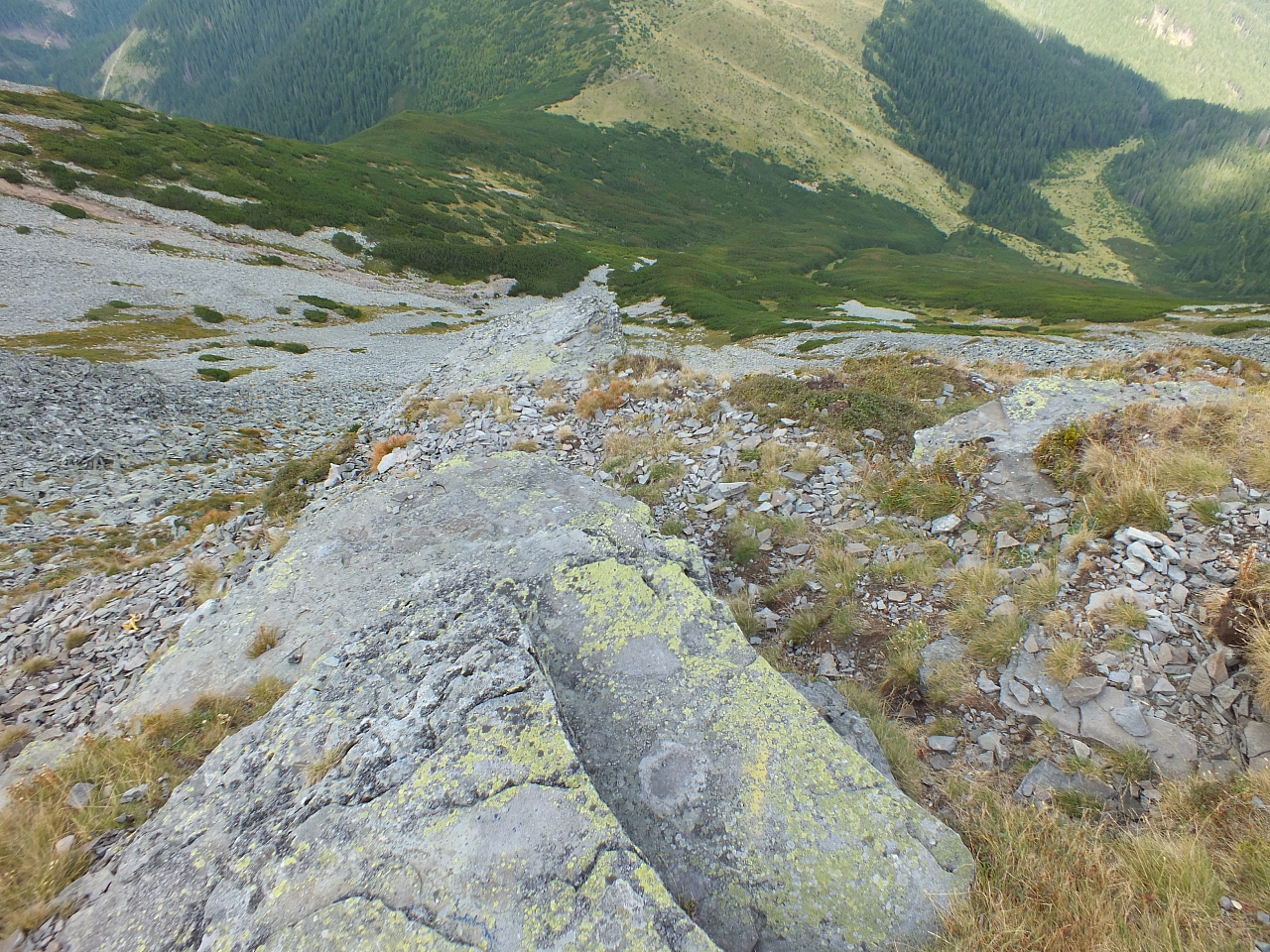 11.08.2012 16:21:20 - Munții Călimani - Rumänien 2012 - Rumänien-Fotos