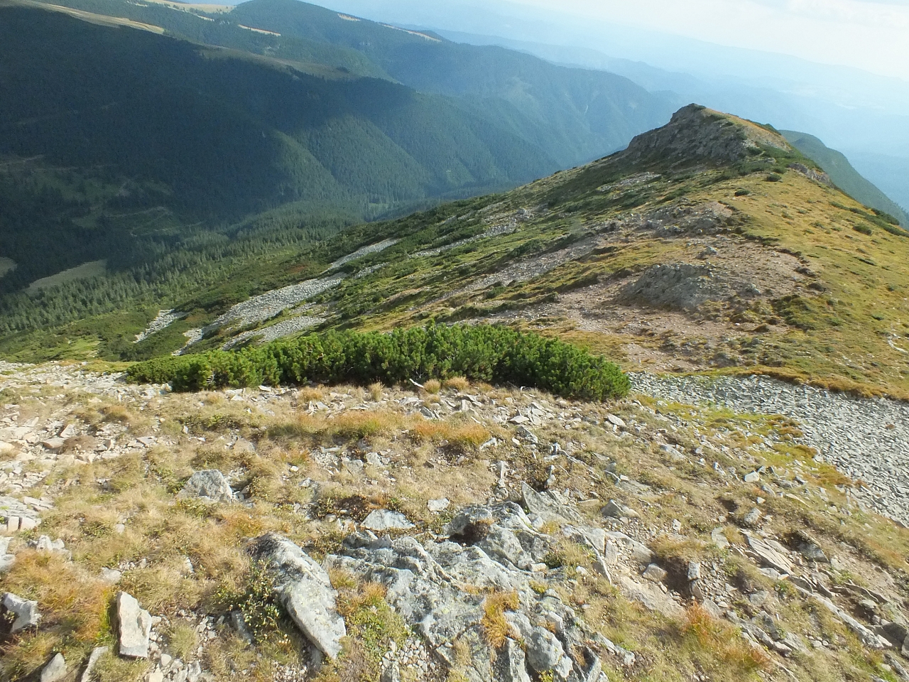 11.08.2012 17:00:12 - Munții Călimani - Rumänien 2012 - Rumänien-Fotos