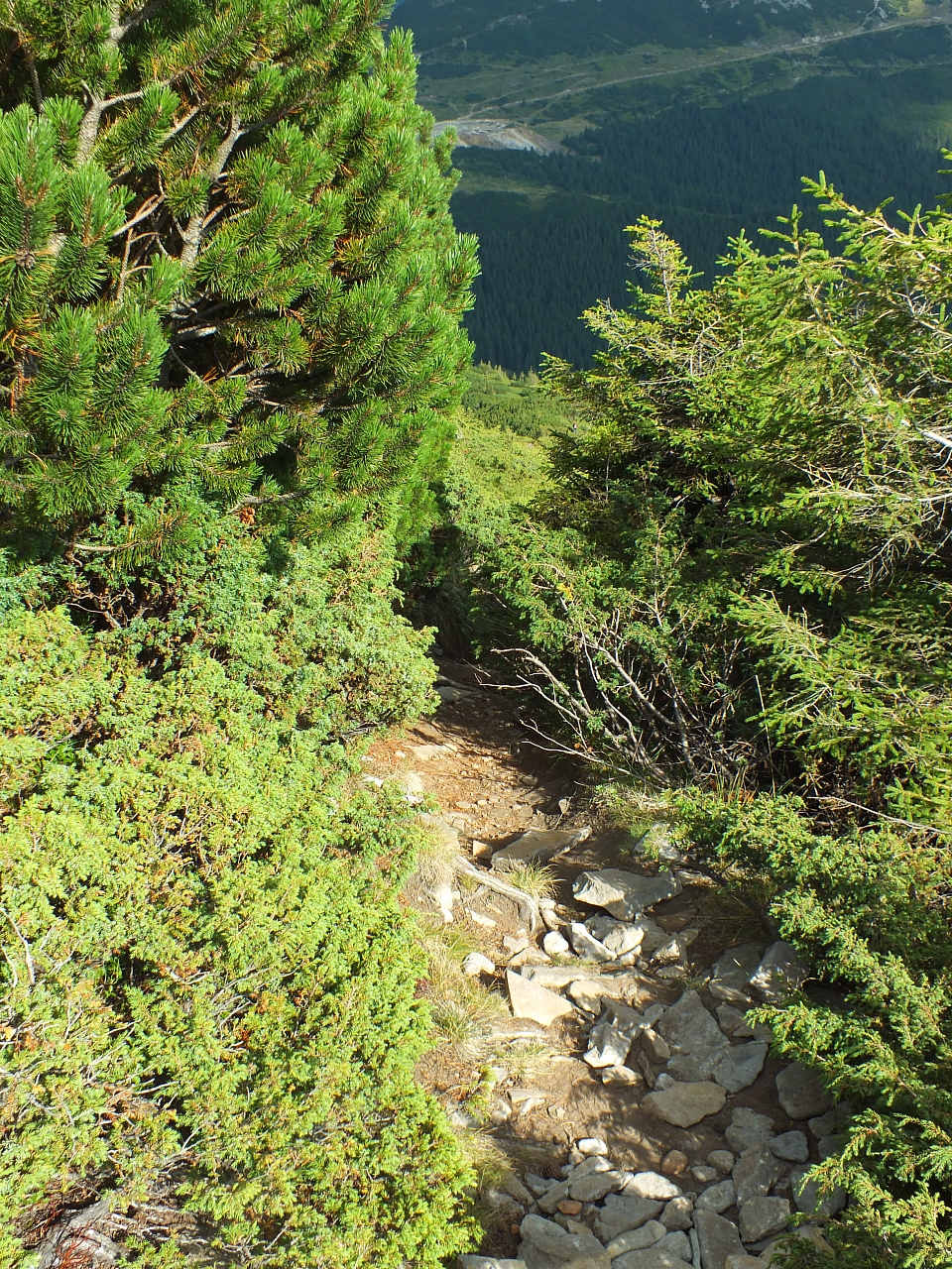 11.08.2012 17:26:03 - Munții Călimani - Rumänien 2012 - Rumänien-Fotos